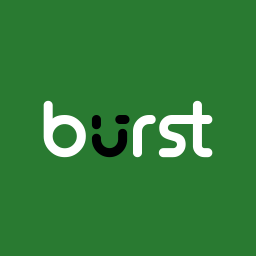 Burst Statistics WordPress için Gizlilik Dostu Analitik